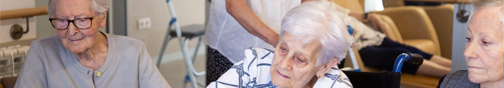 Centre de dia_El Tossalet